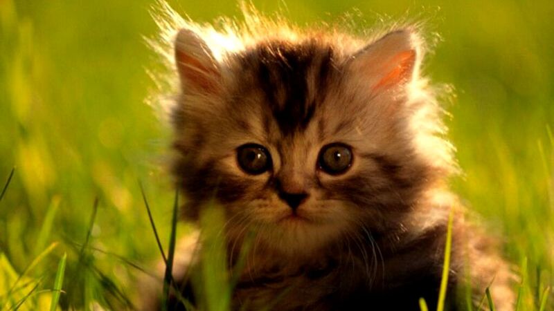 20 апреля 2026 года. 3 года как ушёл от Нас Мой Сын Володя !!!