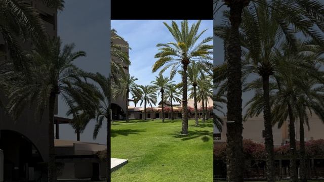 Те же 3 в Омане 2026