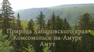 Природа Хабаровского края. Комсомольск-на-Амуре. Амут.