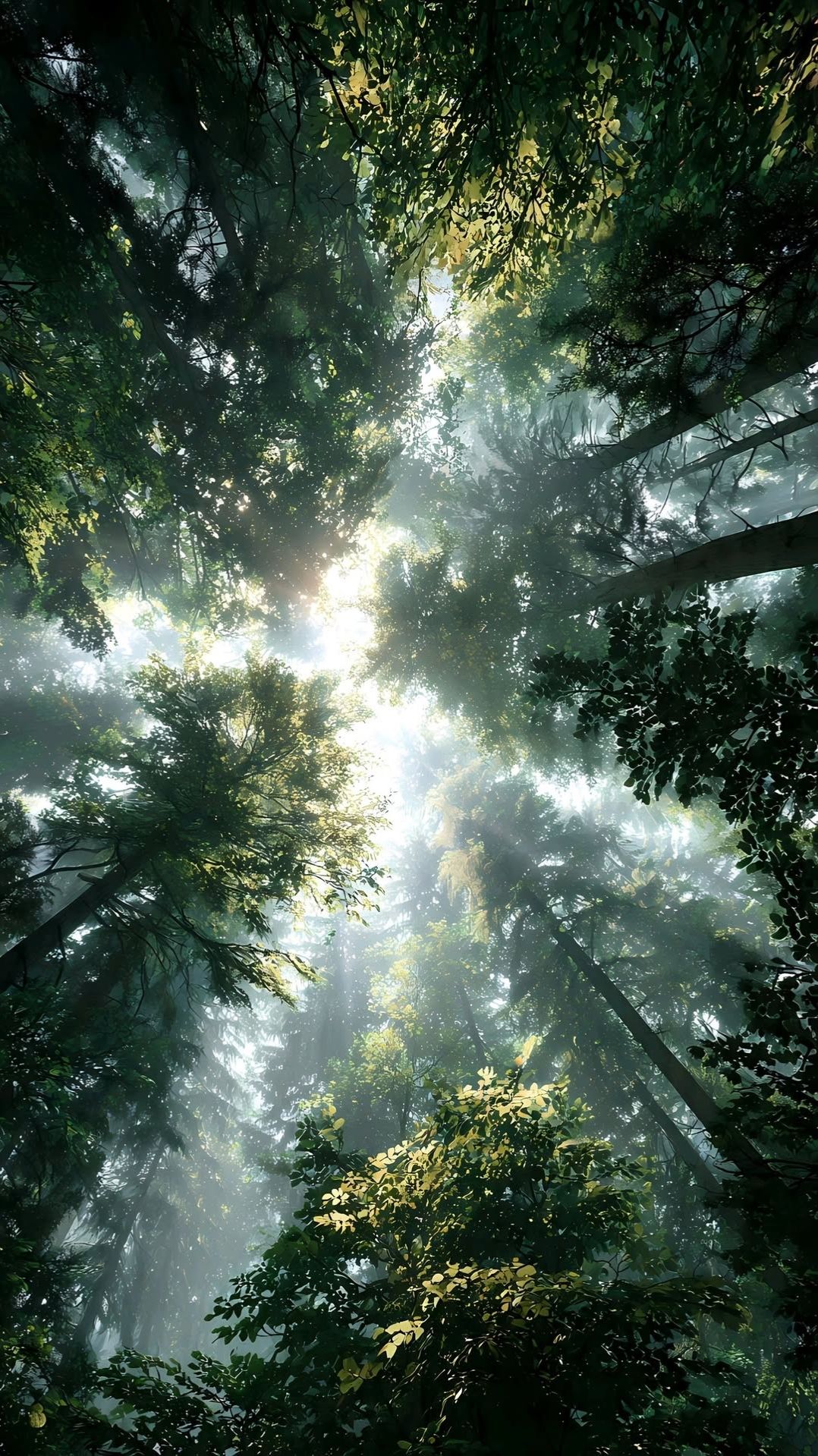 Snegurochka · Hook Airs · John Shepard