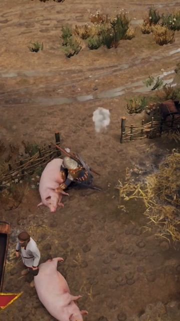 Погладь свинью 🤣