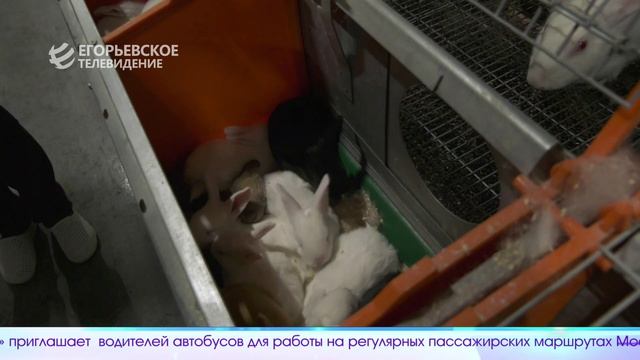 Новый выпуск программы 