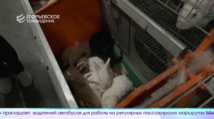 Новый выпуск программы «Егорьевск сегодня» от 23.04.26