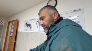 Пёс затих, когда понял, что врачи пытаются ему помочь