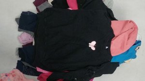 42213 Детские бренд толстовки, спортивные штаны, 5пак, LZ5, секонд (extra) оптом