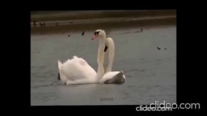 Нас разделили города.mp4