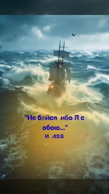 1000020584.mp4христианский канал