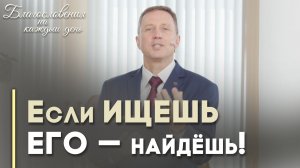 Почему важно искать мира | Благословения на каждый день