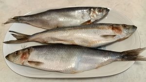 Селедка. Экспромт.Импровизация.