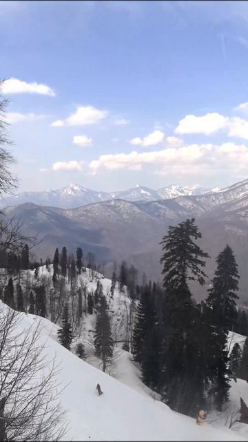 Горные виды  Вершина 2200 м, Вершина 1460, трасса Панорама, трасса Струна, Красная Поляна