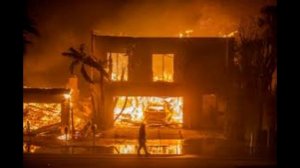 В США лесные пожары уничтожили более 50 домов