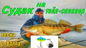 ЛОВЛЯ СУДАКА НА ТЕЙЛ-СПИННЕР/КАК ЛОВИТЬ НА ТЕЙЛ-СПИННЕРЫ/ВЕСЕННЯЯ РЫБАЛКА НА ВОЛГЕ/СУДАК НА СПИННИНГ