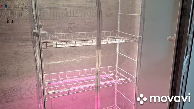 НОВАЯ ТЕПЛИЦА-ПАРНИК,ИЗ СТЕЛЛАЖА.КОМНАТНЫЕ РАСТЕНИЯ(ЦВЕТЫ).