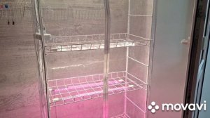 НОВАЯ ТЕПЛИЦА-ПАРНИК,ИЗ СТЕЛЛАЖА.КОМНАТНЫЕ РАСТЕНИЯ(ЦВЕТЫ).