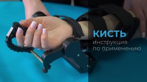 Инструкция по применению «Орторент-кисть»