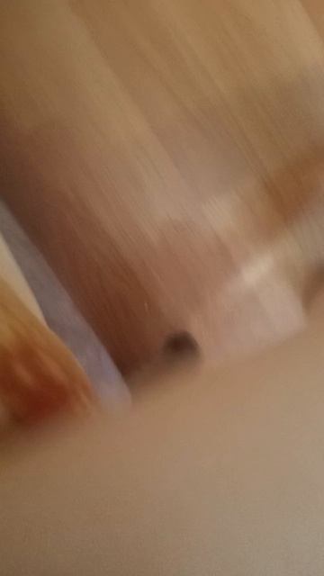 Зачем он мои пятки хочет поцарапать👽👽👽