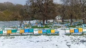 23 апреля вывихи погоды