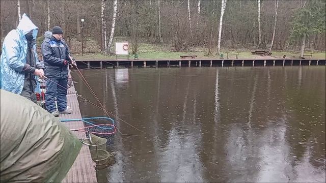 Дождливое утро на Спорт-зоне. Клёвое место Лосиный остров.