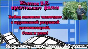 Война наивных садоводов с муравьиной разумной цивилизацией. Стыд и ужас!