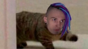 ОДАА ШАДОУПЕРСИК