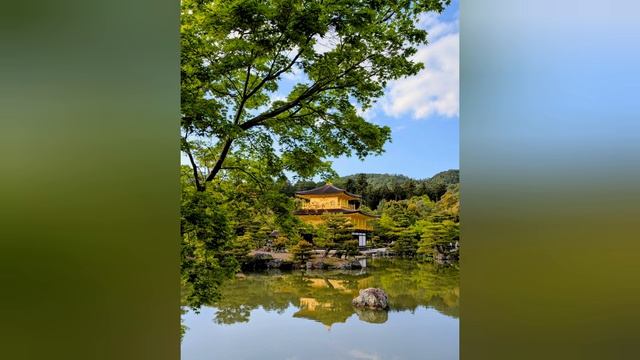 97.Золото везде: и на земле и - в воде😊.