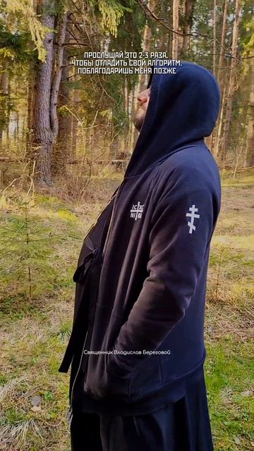 Очистите свой информационный поток и успокойте нервную систему под звуки соснового бора☀🍃🎧