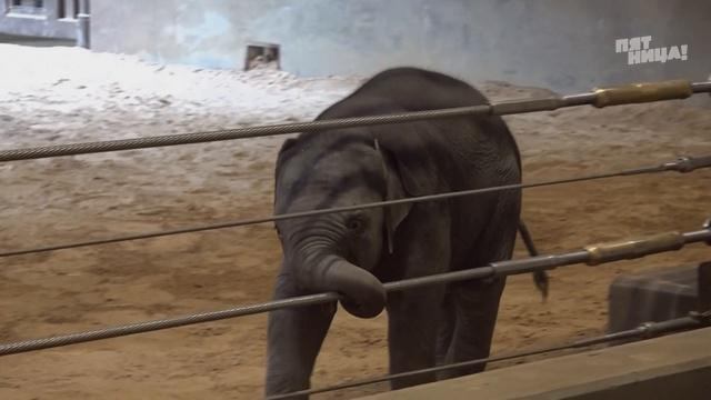 Пятница News 2026 сезон 72 выпуск