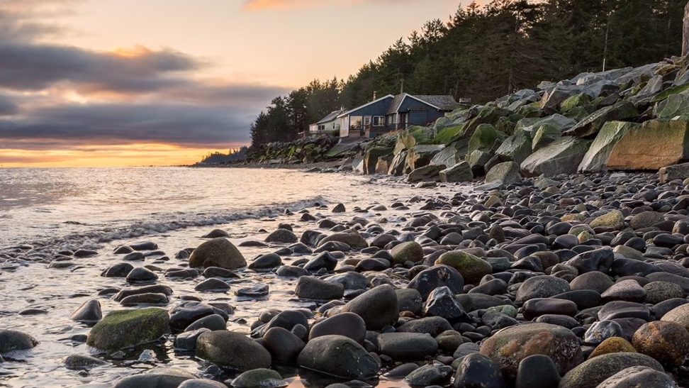 радужная собака