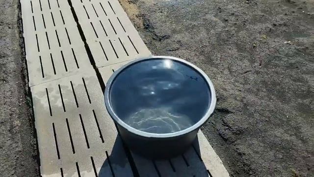 23.04.2026 Апрельская борьба с сорняком