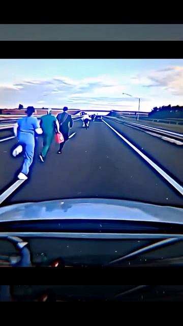 Догонялки 🙄