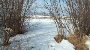 VID_20260405_103323.mp4