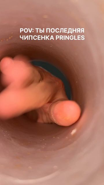 От меня не спрячешься… #морозовы #memes #haha #юмор