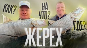 ЖЕРЕХ. КАК? ГДЕ? И НА ЧТО? Ловля жереха весной в Астрахани. Рыбалка 2026