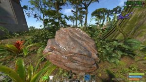 Rust. № 50. Порт № 2. Тропики