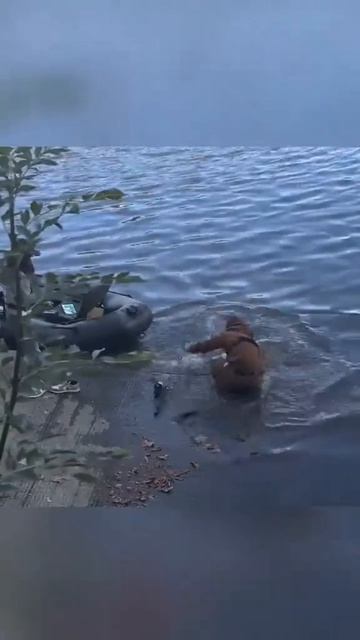 Парень на рыбалке вытащил настоящего монстра