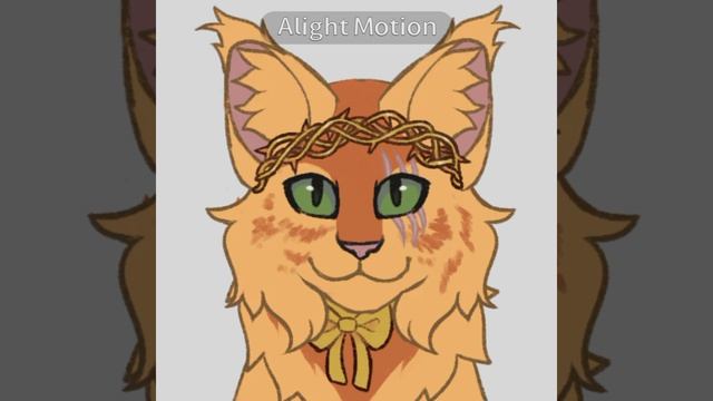 впервые делаю видео в алайте