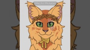 впервые делаю видео в алайте