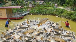 Наловила много рыбы и продала ее торговцу фермеру. Готовлю еду с рыбой и овощами. Серия 96. Ли Фук