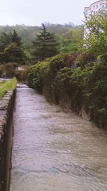 Канал с дождевой водой