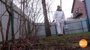 Обрабатываем садовый участок от клещей. Доброе утро. Фрагмент выпуска от 23.04.2026