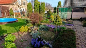 Так стало лучше. Покрасили плитку на садовой дорожке.Дача преображается 💚 #любимаядача💚