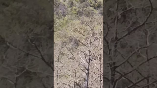 Кипарисовое озеро Сукко 23 Апреля 2026 года. Репортаж Светланы Тихоновны.