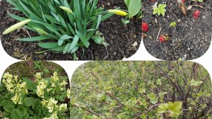 23-04-2026 Всё как есть, всё по-простому