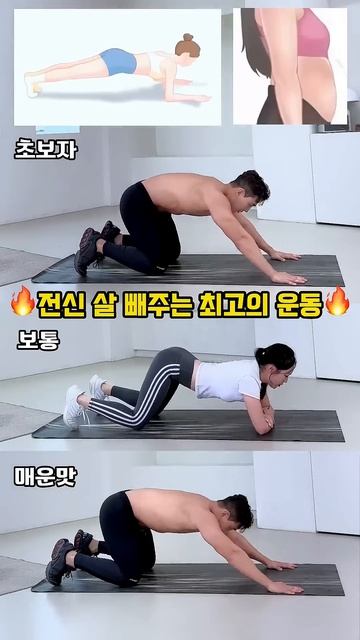 전신 살 빼주는 최고의 운동 #오운완 #뱃살운동 #전신운동 #급찐급빠