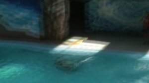 83)ё ЛАЗАРЕВСКОЕ ДЕЛЬФИНАРИЙ