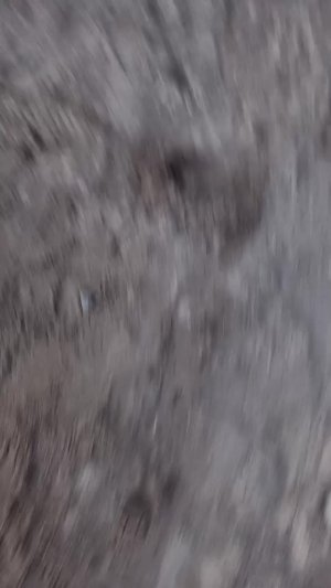 Игра в акулу