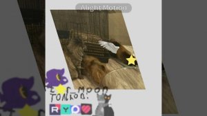 Лунатек так феерично полетел.😍