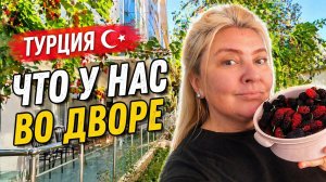 Где я - там КРАСОТА ❤  РОЗЫ И ВКУС МОЕЙ ЮНОСТИ 😀 #влог