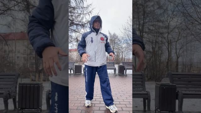 Ицюань (1700 день) Обзор методов Ицюань / Чжан Чжуан, Шили, Моцабу, Фали, Туйшоу, Саньшоу (22.04.26)