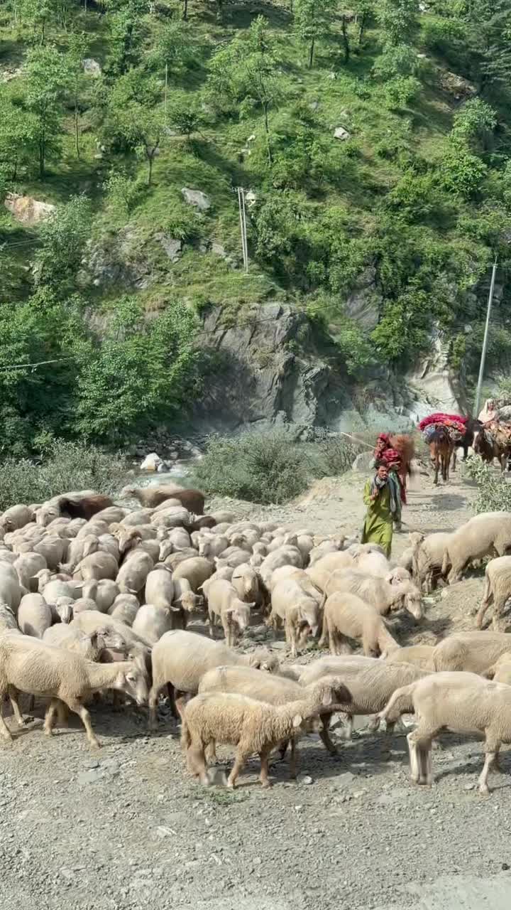 🔥 Всё, что нельзя выкладывать сюда - закулисье и истории, за которые меня постоянно банят, уже л...